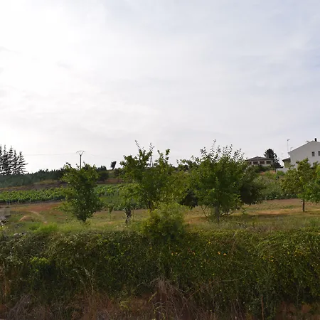 Apartment La Casa De Manuel *